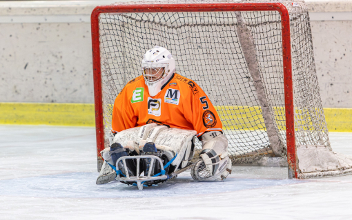 Goalieschienen Spende